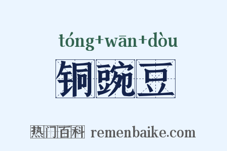铜豌豆是什么意思的图片